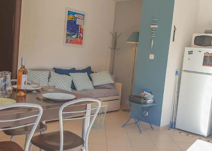 Joli En Corse Avec Piscine