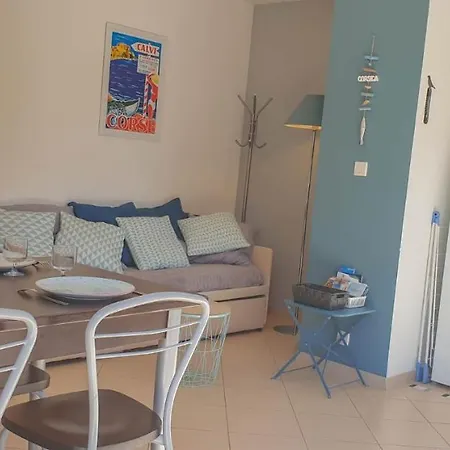 Joli En Corse Avec Piscine